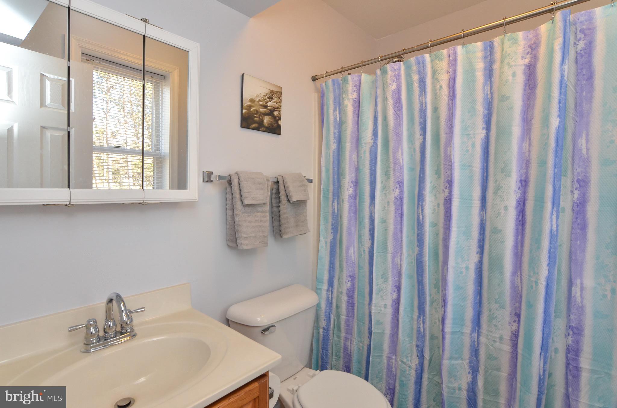 948 Ramoth Church Road Fredericksburg, VA 22406 - Photo 49 of 61 Full Bath (Basement)