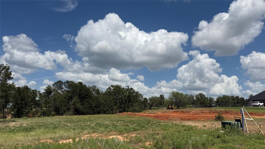 1175 Gonzollas Road Springtown, TX 76082 - Photo 2 of 4 Expansive lot featuring a cleared building site, existing mature trees along the perimeter, and verdant natural landscaping