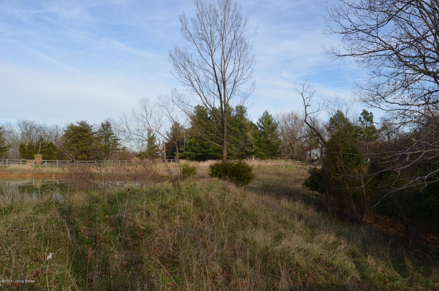2316 Rebel Ridge Road La Grange, KY 40031 - Photo 28 of 46 RR front right pasture
