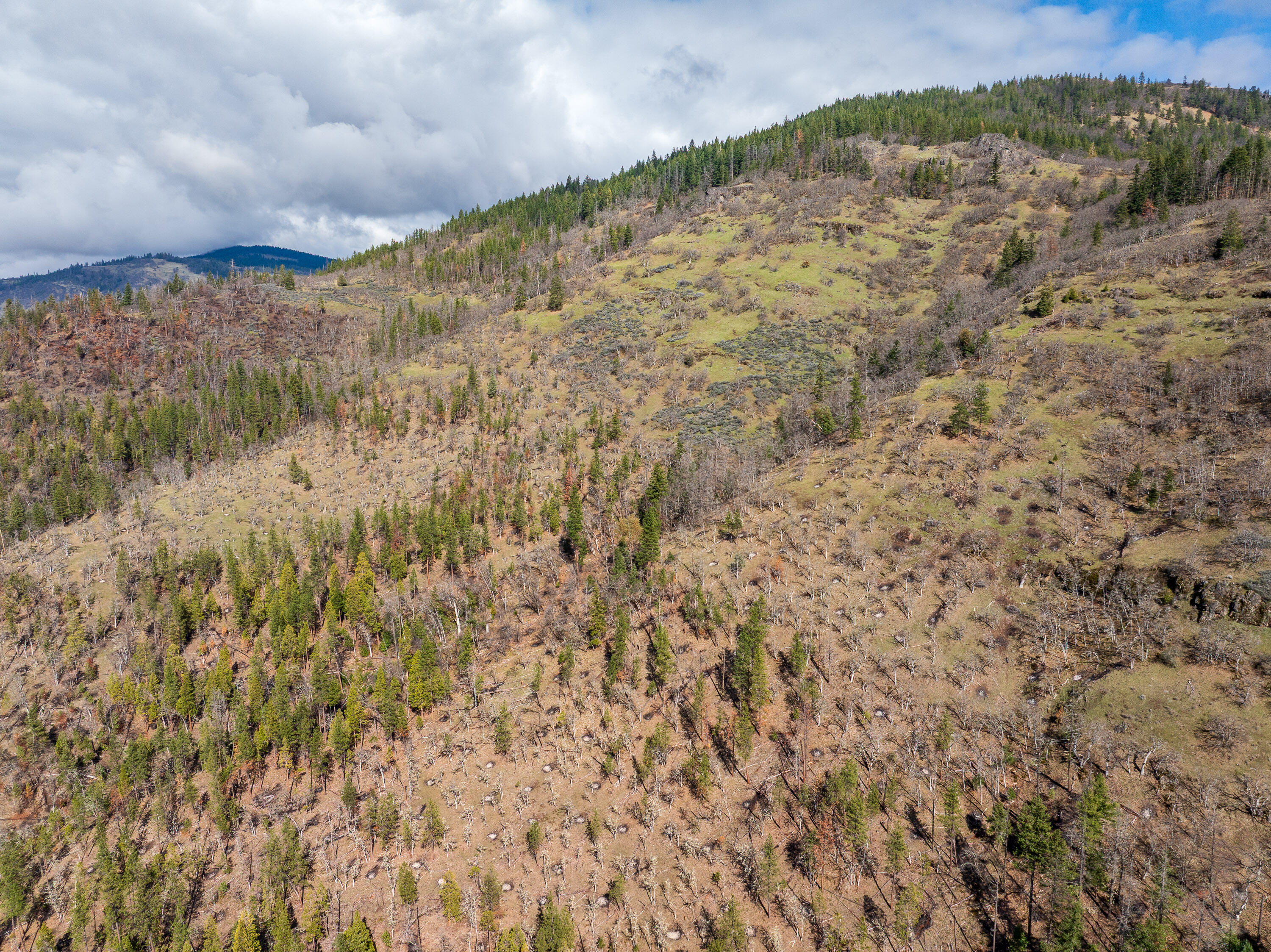 2829 Buckhorn Springs Road Ashland, OR 97520 - Photo 22 of 44 021