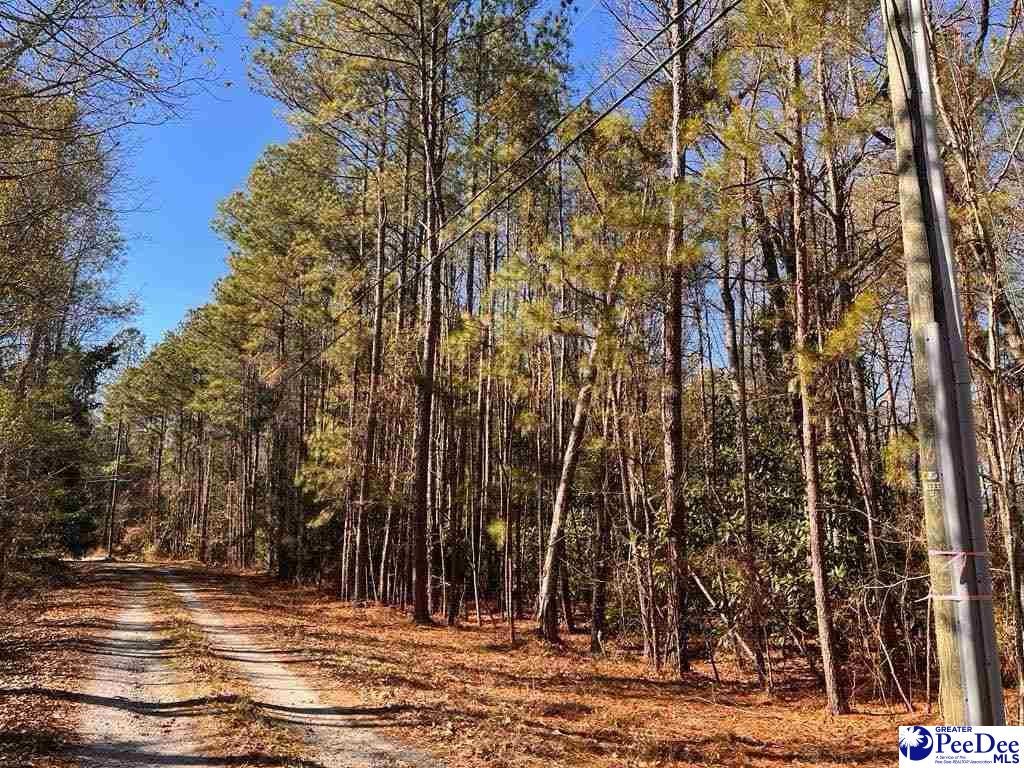 Bentwood Road Hartsville, SC 29550 - Photo 5 of 8 Gallery Image 5