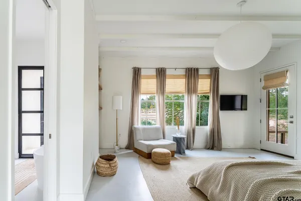 a room with furniture and a potted plant