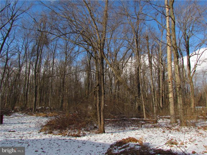 2763 Township Road Riegelsville, PA 18077 - Photo 23 of 23