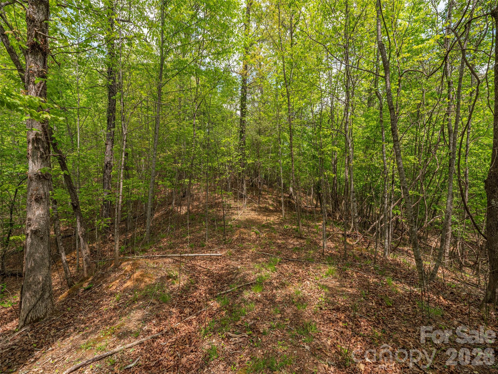 0 Caney Fork Road Cullowhee, NC 28723 - Photo 11 of 22