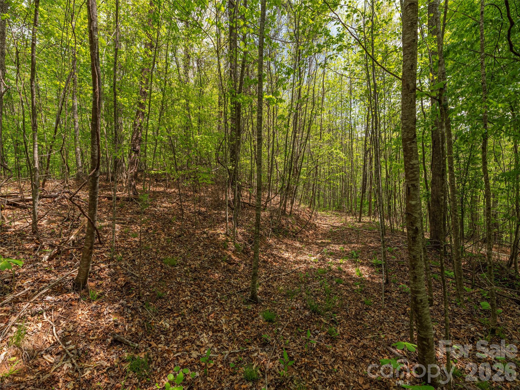 0 Caney Fork Road Cullowhee, NC 28723 - Photo 12 of 22