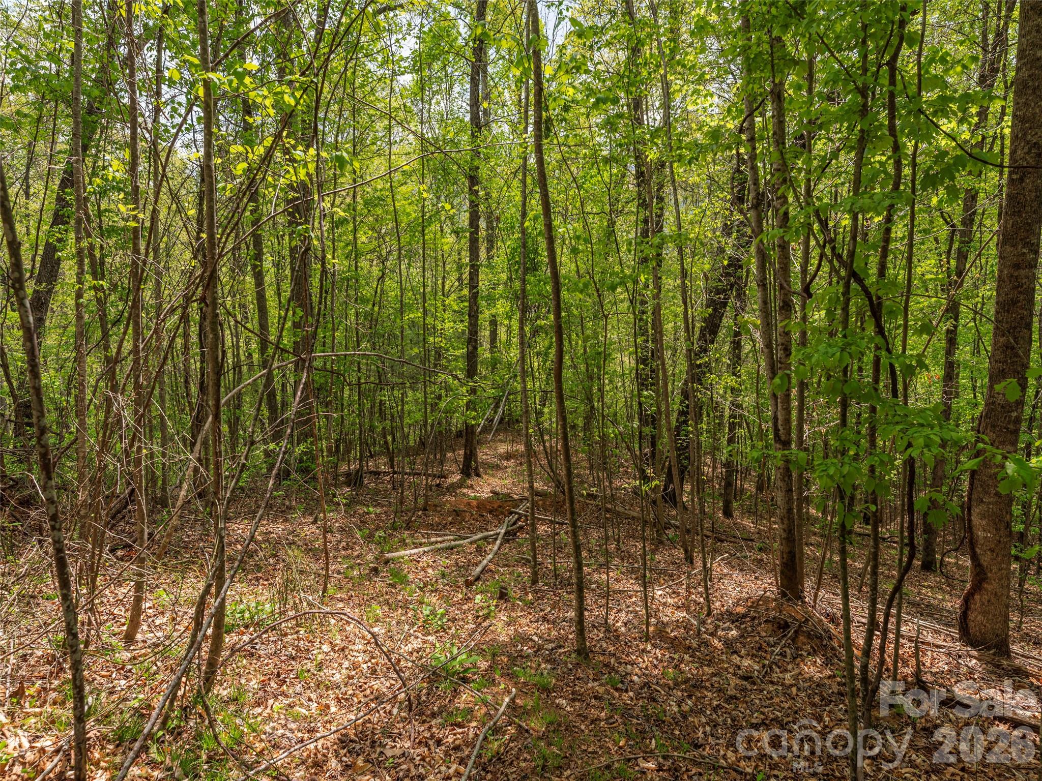 0 Caney Fork Road Cullowhee, NC 28723 - Photo 13 of 22