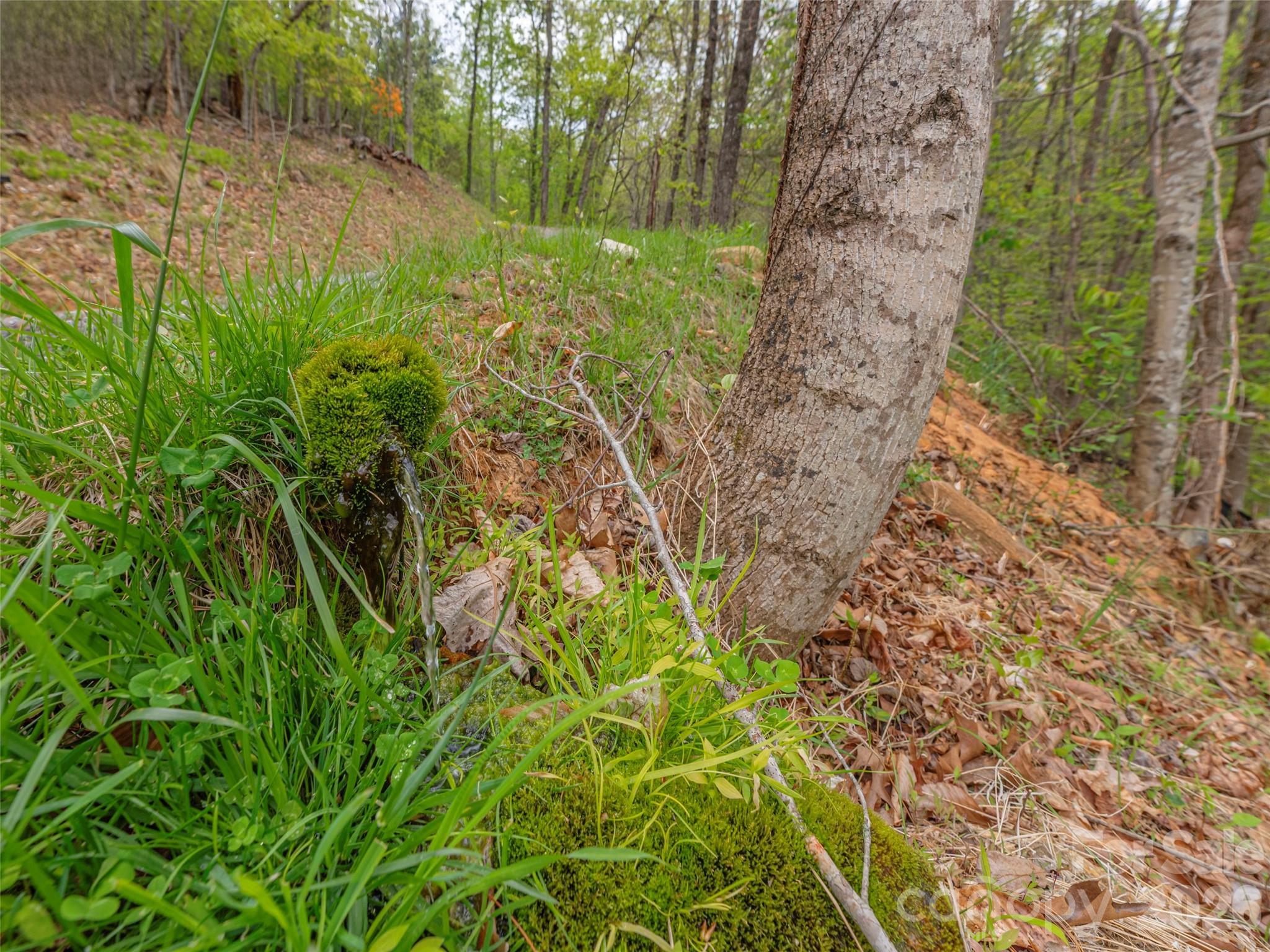 0 Caney Fork Road Cullowhee, NC 28723 - Photo 15 of 22