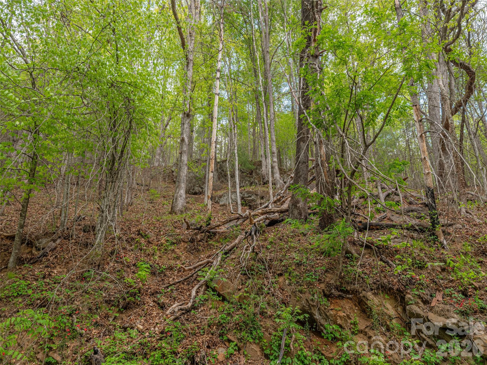 0 Caney Fork Road Cullowhee, NC 28723 - Photo 16 of 22