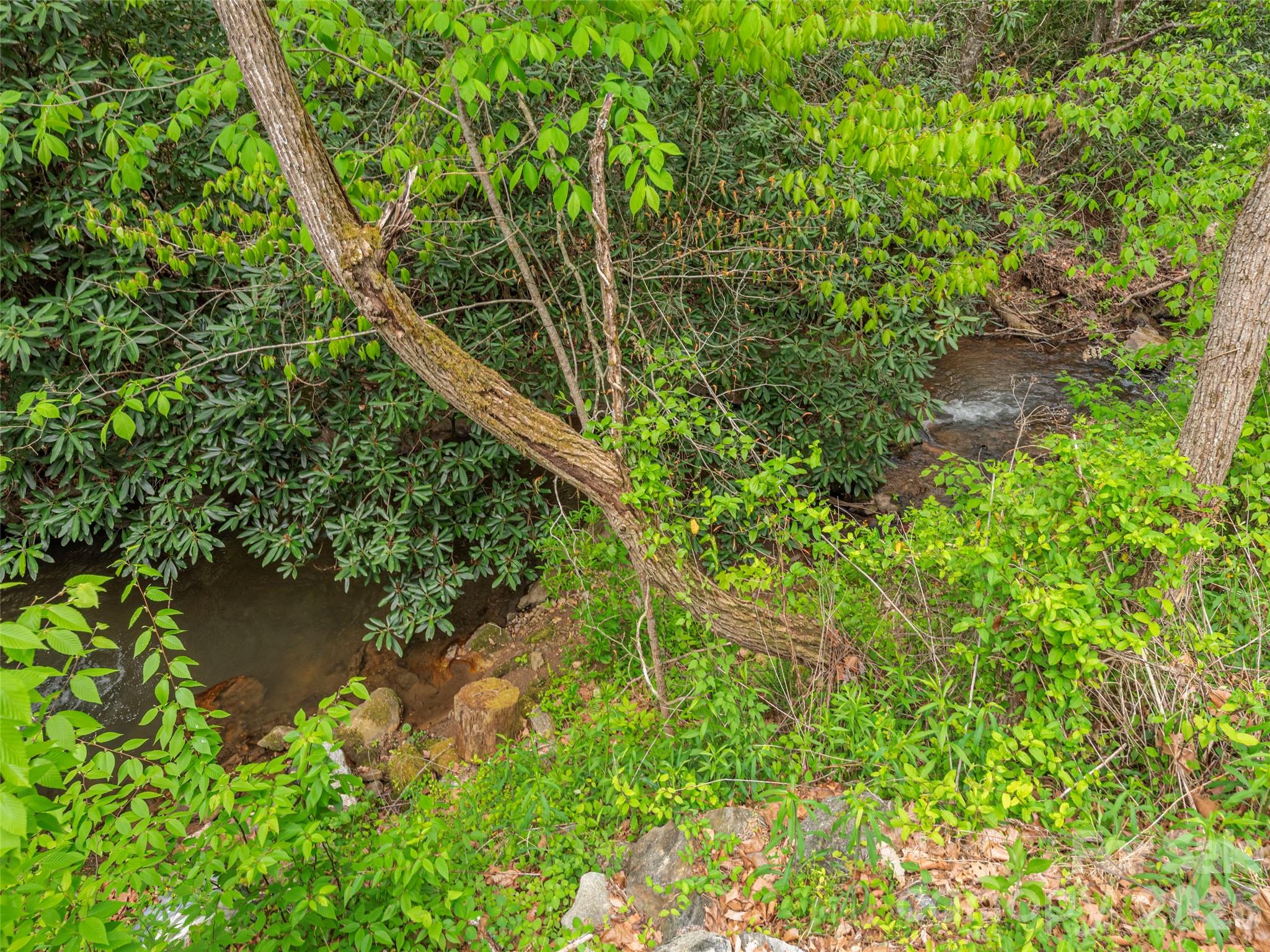 0 Caney Fork Road Cullowhee, NC 28723 - Photo 17 of 22