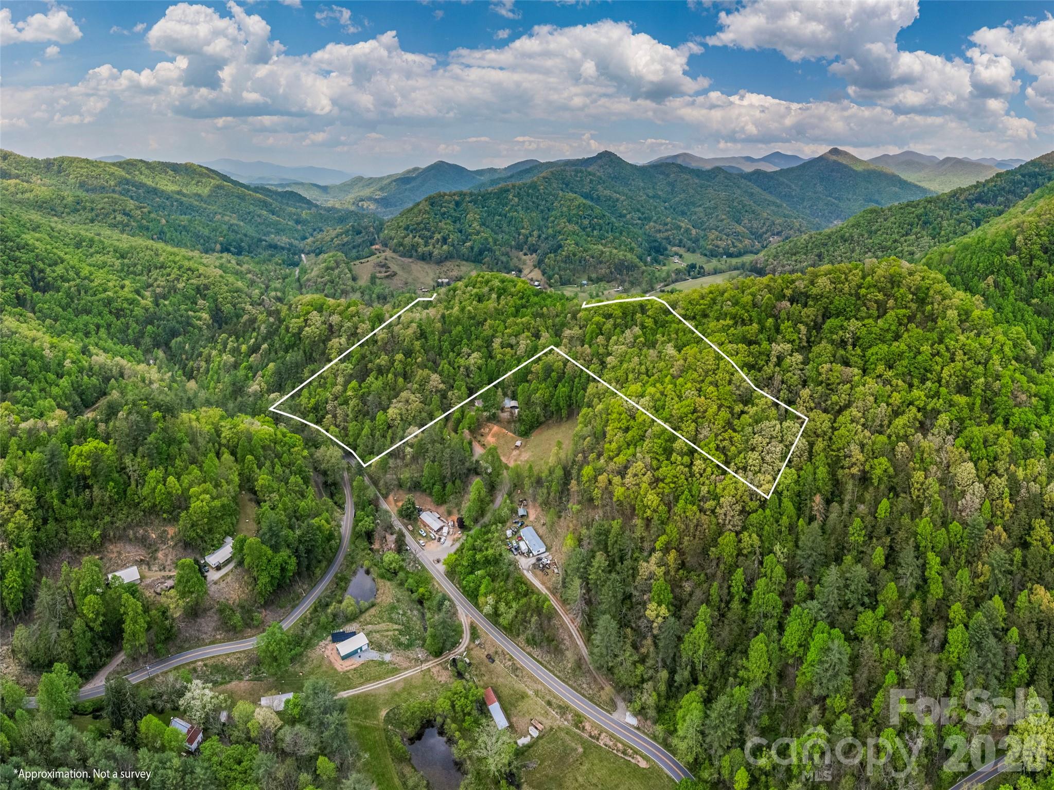 0 Caney Fork Road Cullowhee, NC 28723 - Photo 19 of 22