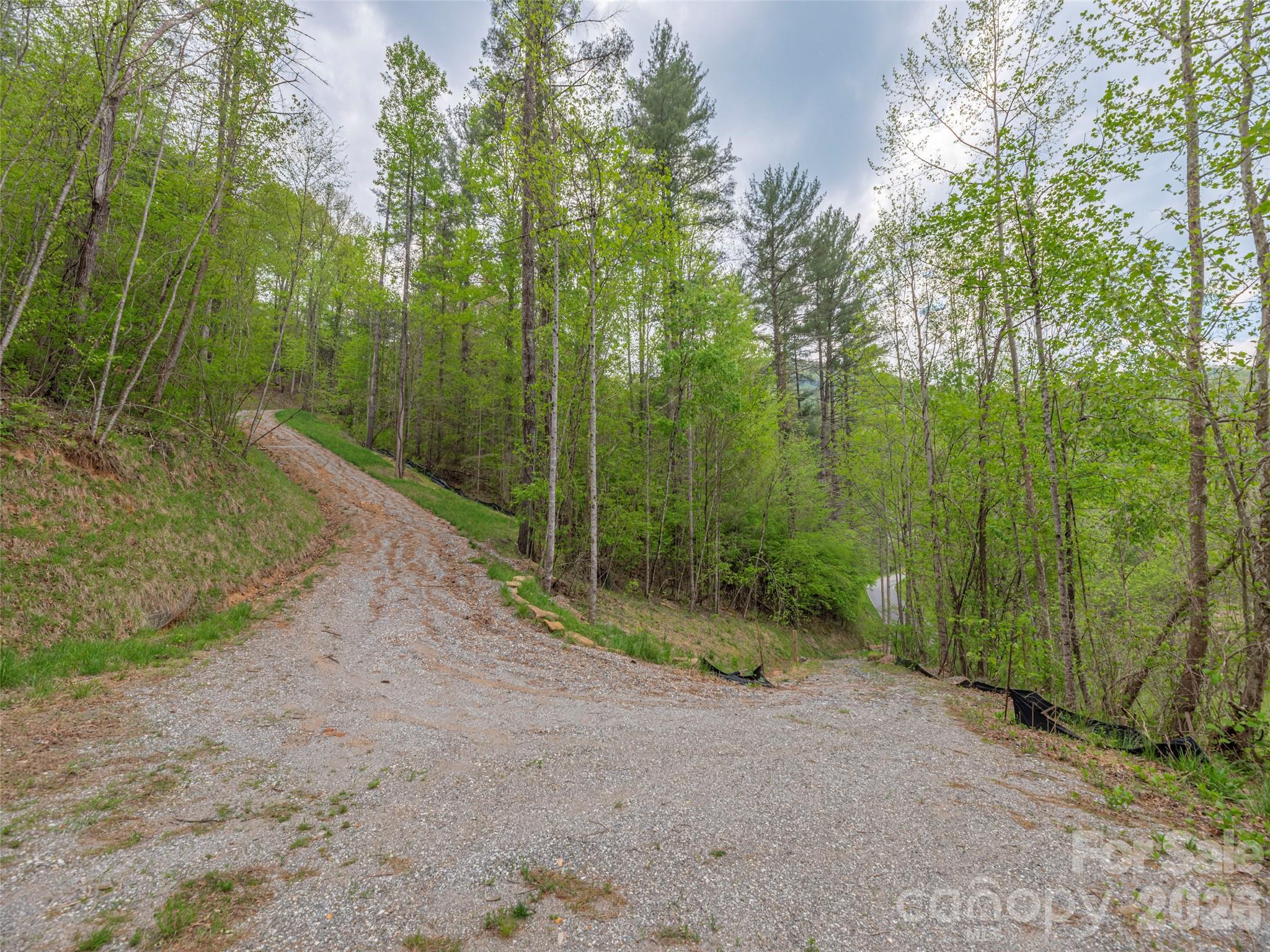 0 Caney Fork Road Cullowhee, NC 28723 - Photo 2 of 22