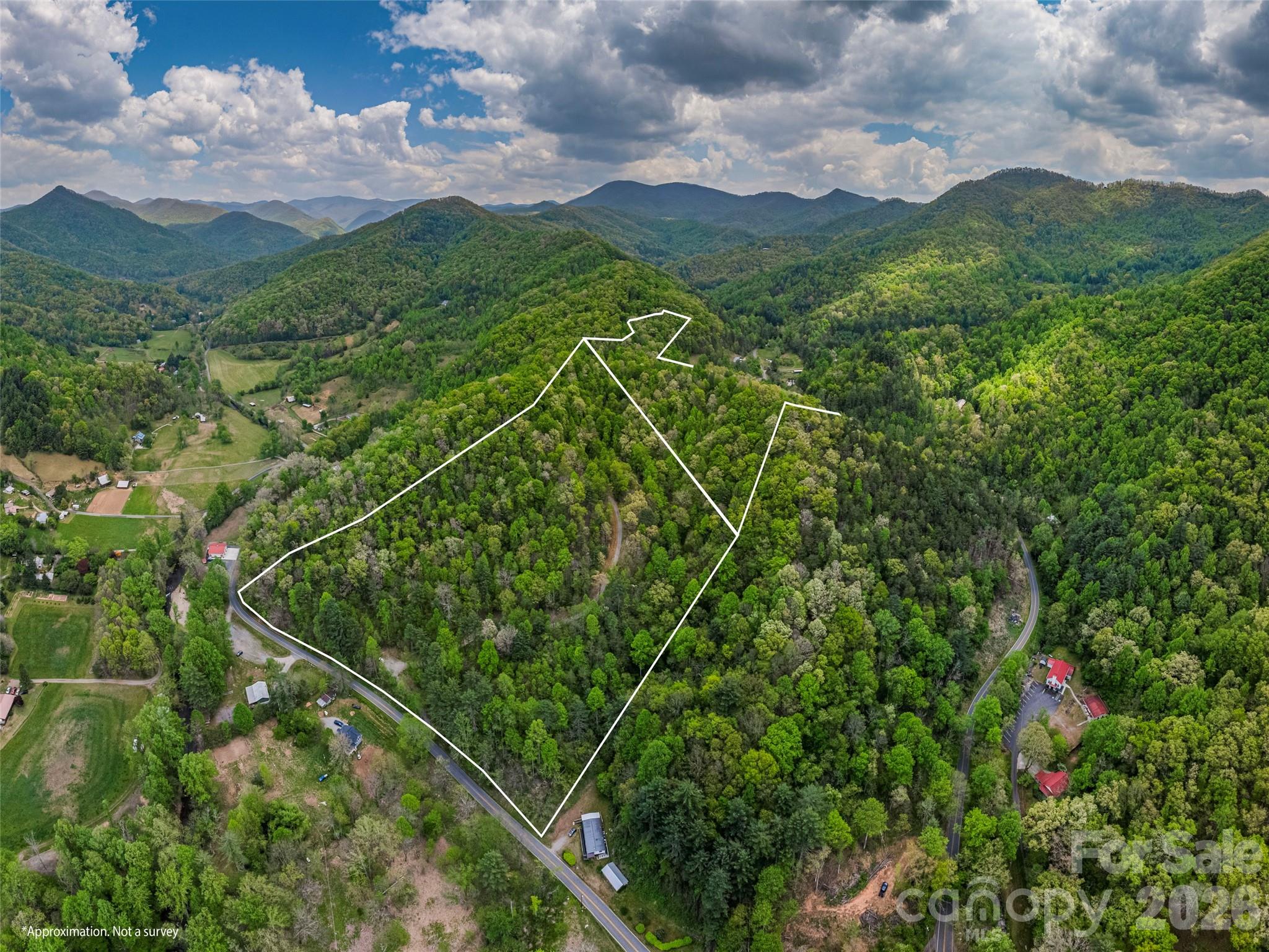 0 Caney Fork Road Cullowhee, NC 28723 - Photo 21 of 22
