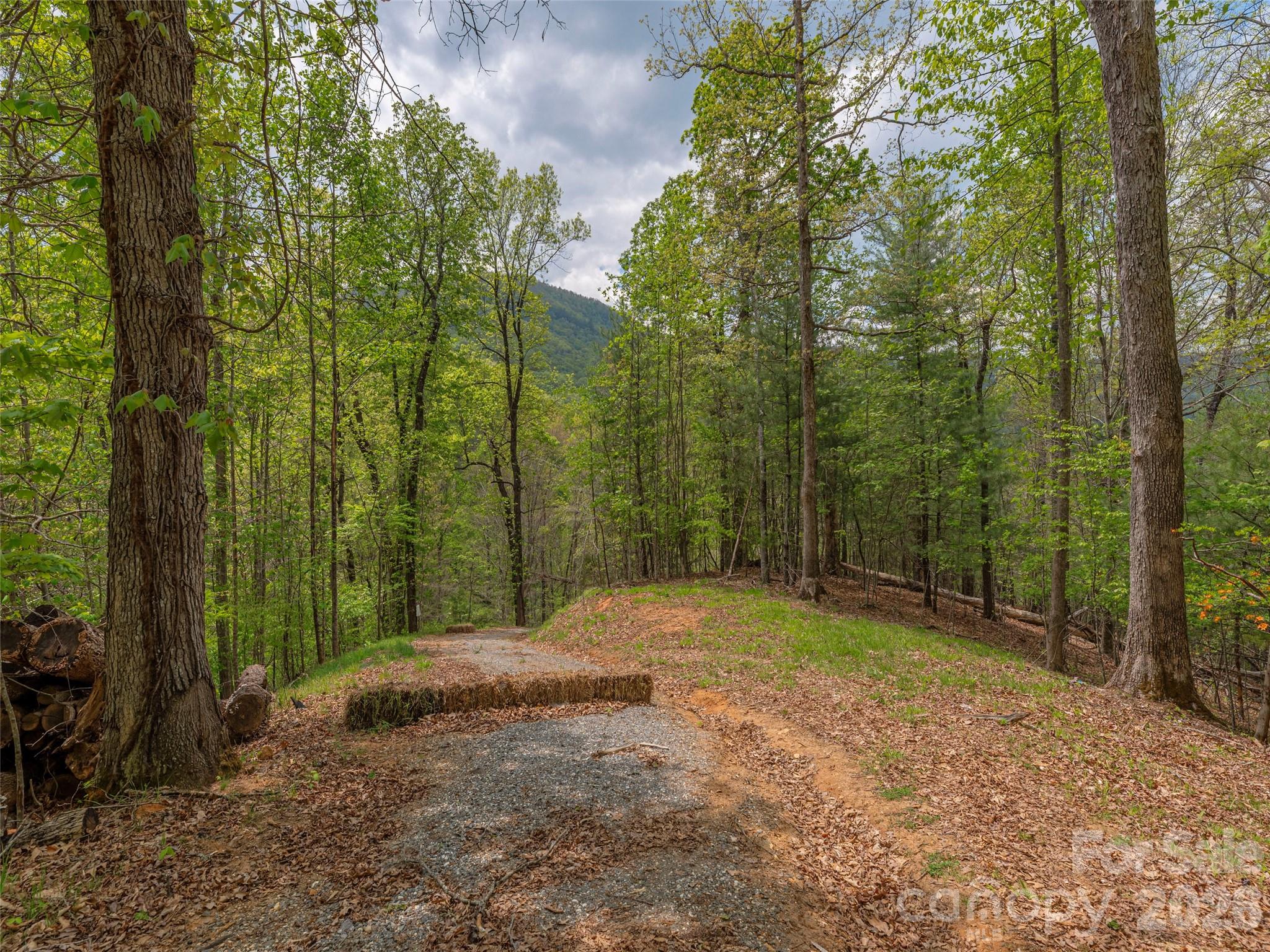 0 Caney Fork Road Cullowhee, NC 28723 - Photo 3 of 22