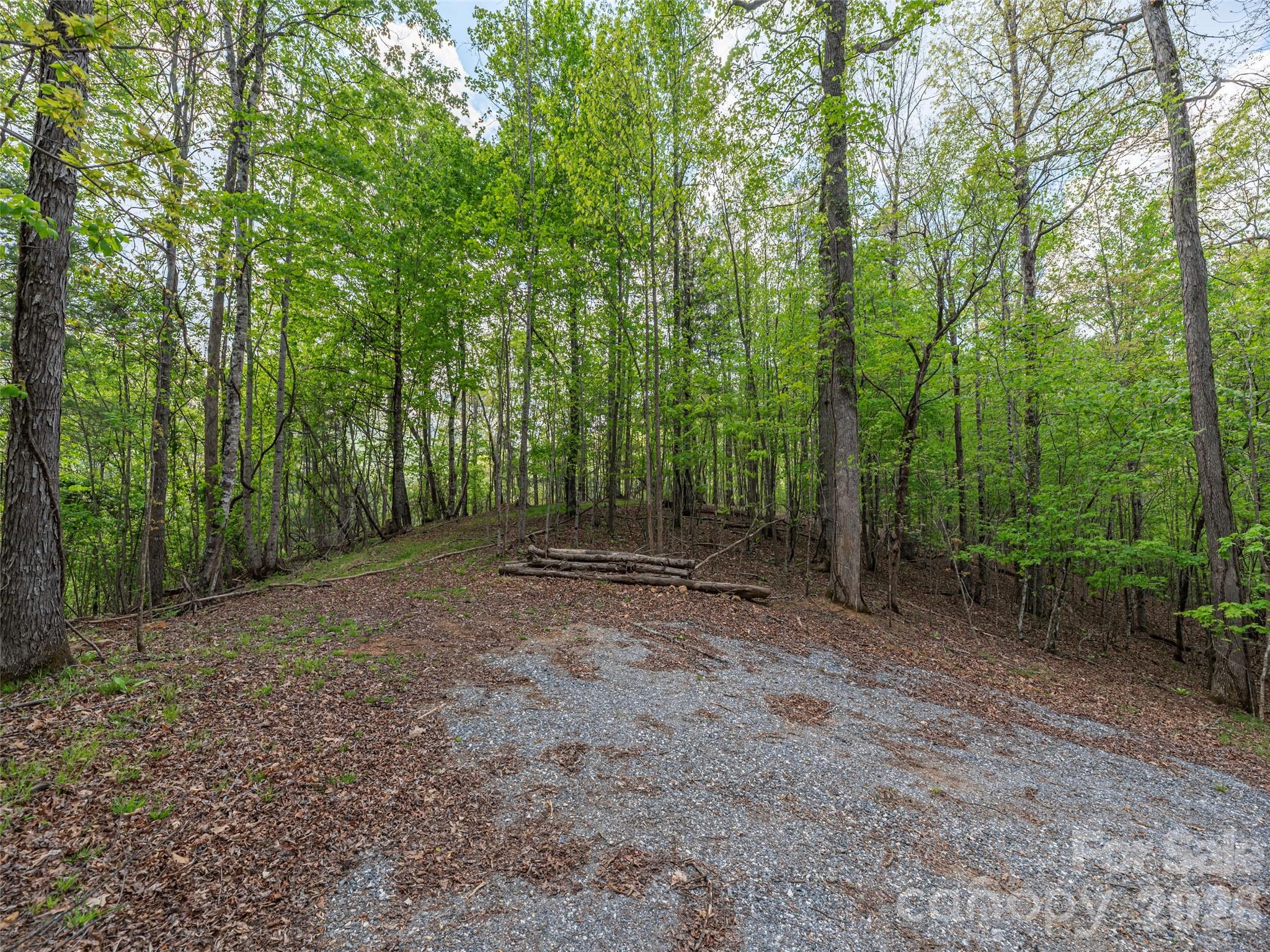0 Caney Fork Road Cullowhee, NC 28723 - Photo 4 of 22