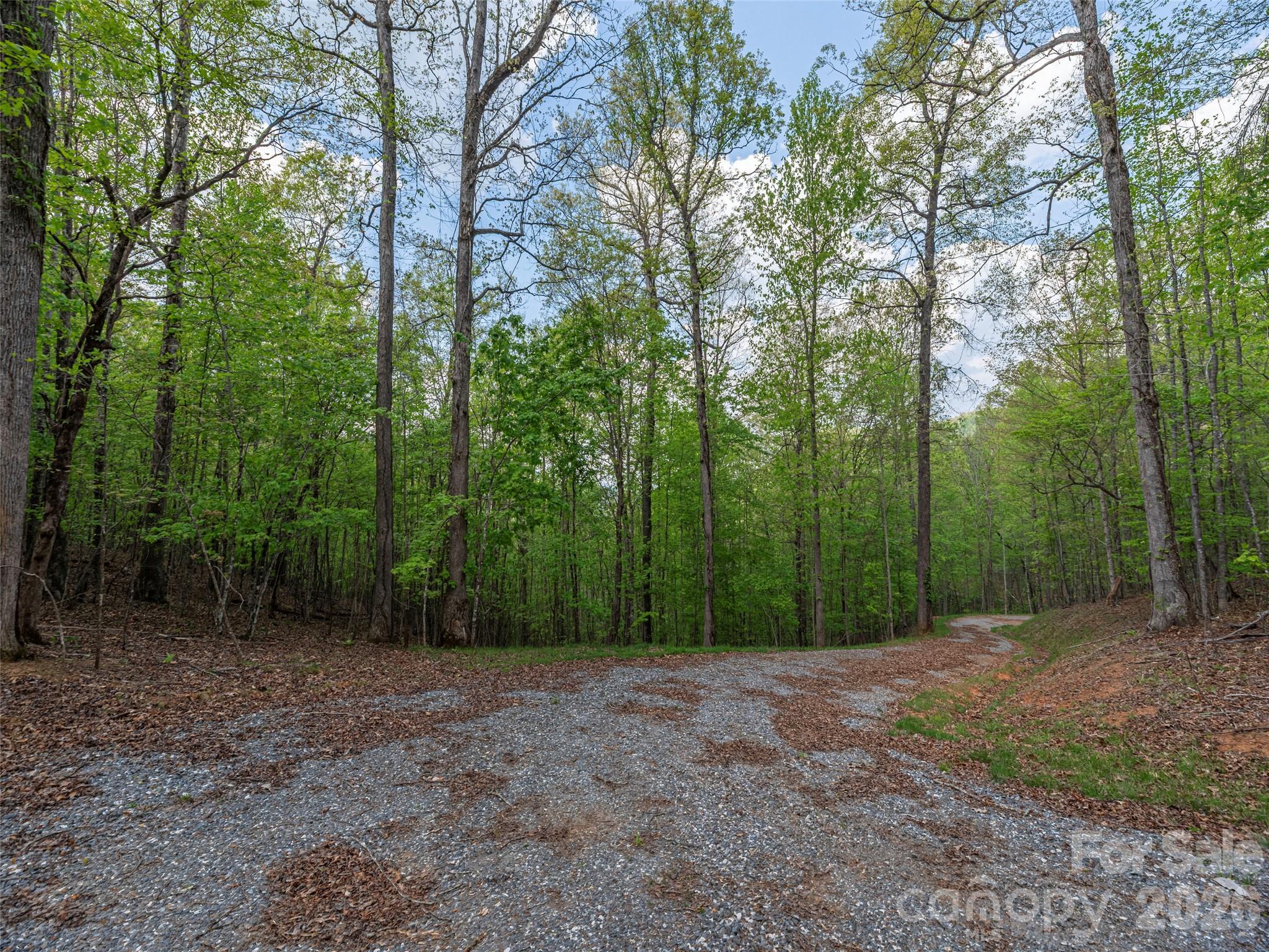 0 Caney Fork Road Cullowhee, NC 28723 - Photo 5 of 22