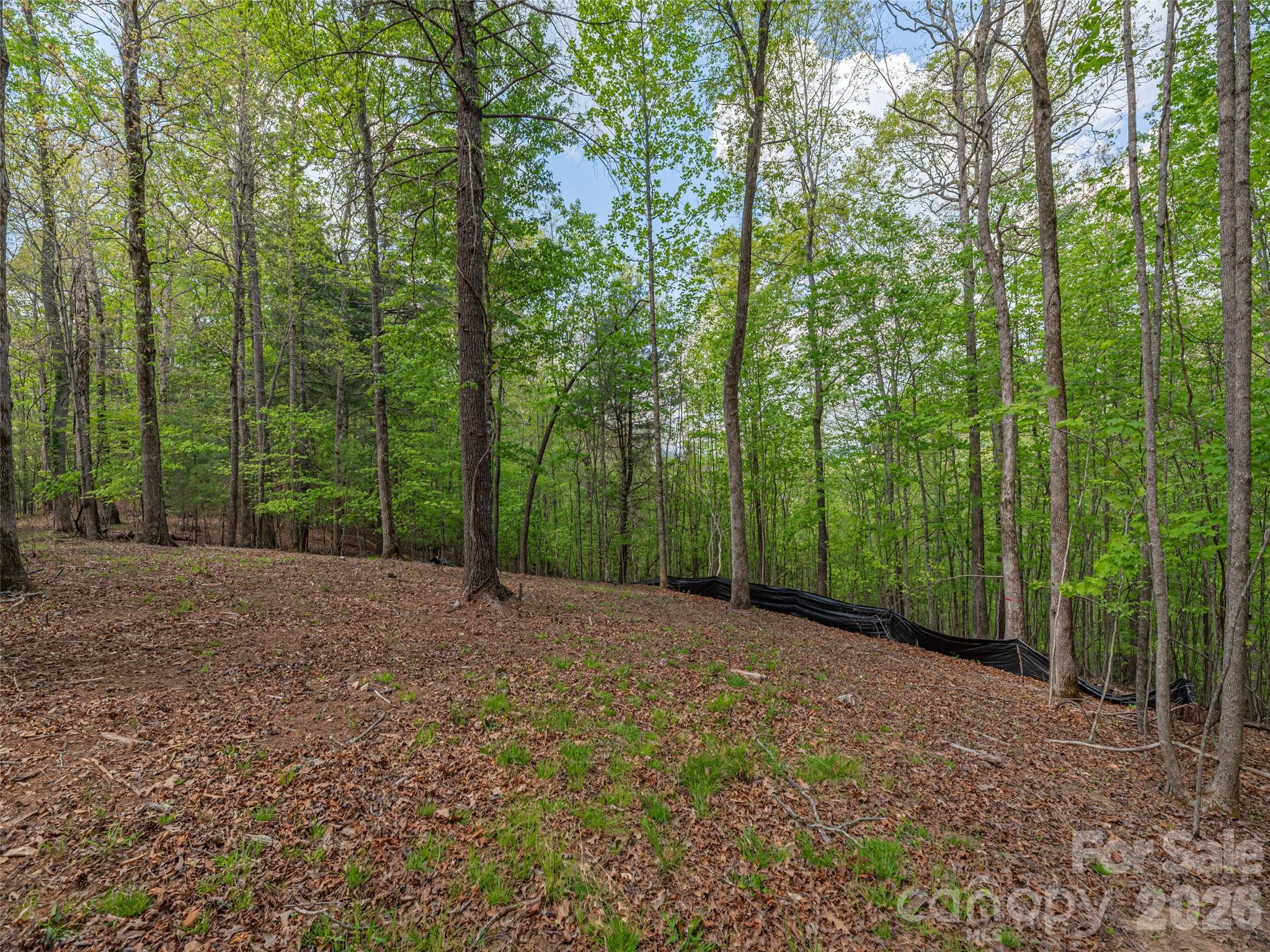 0 Caney Fork Road Cullowhee, NC 28723 - Photo 7 of 22