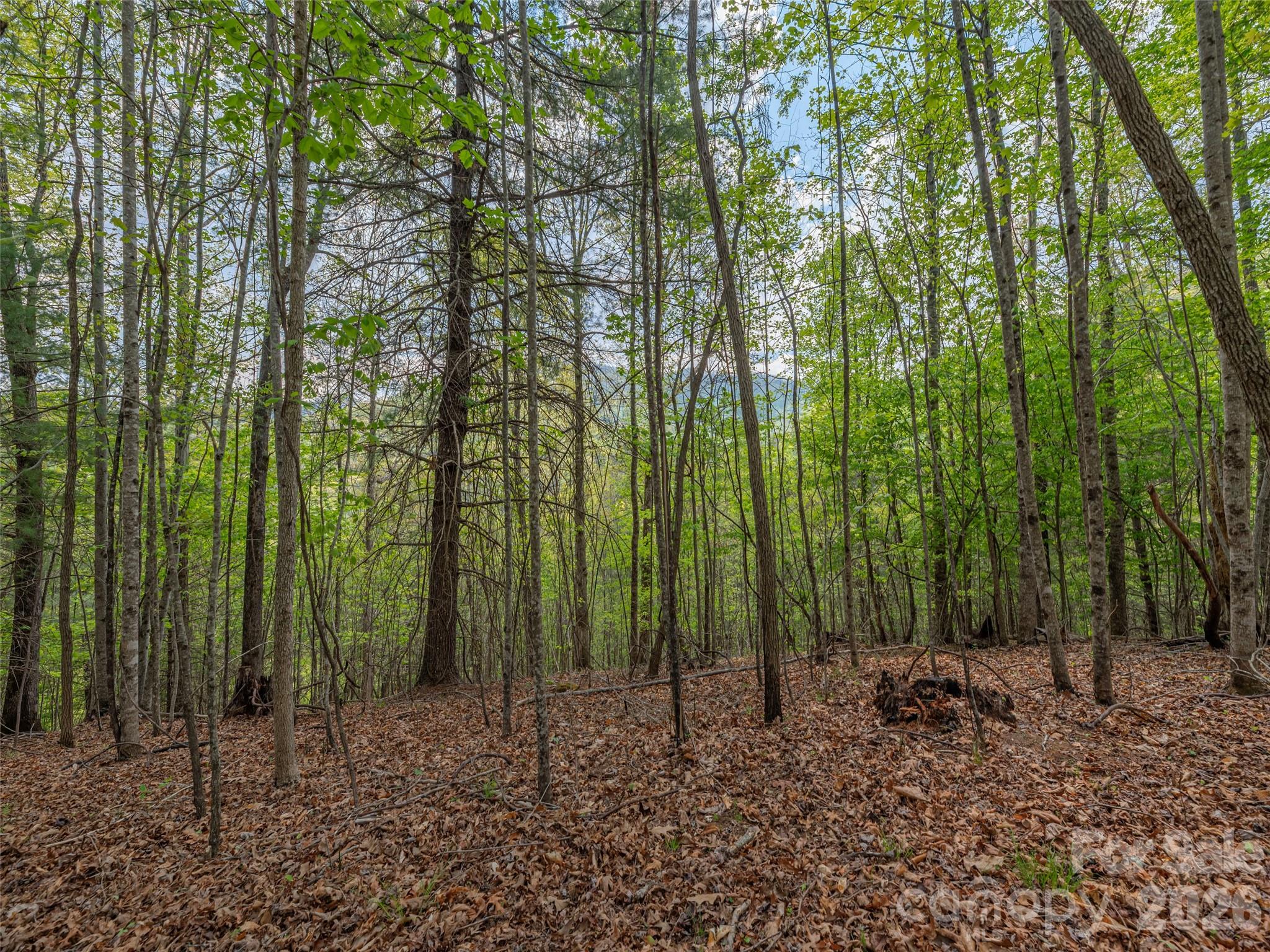 0 Caney Fork Road Cullowhee, NC 28723 - Photo 8 of 22