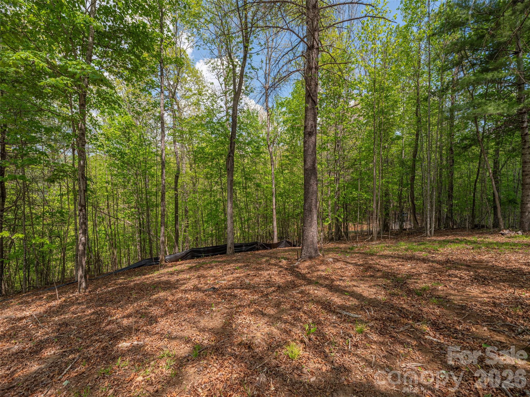 0 Caney Fork Road Cullowhee, NC 28723 - Photo 9 of 22