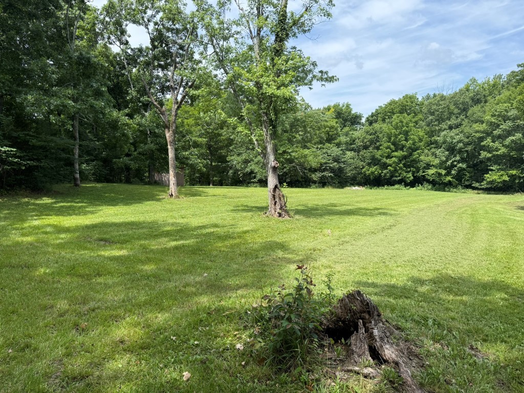 8192 Hant Hollow Road Rockvale, TN 37153 - Photo 3 of 22