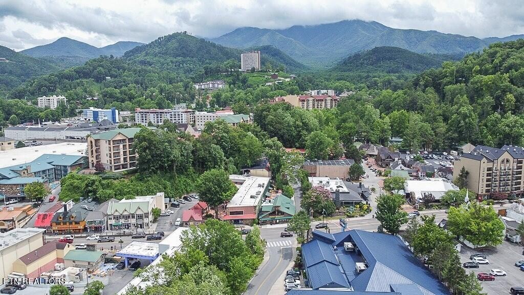 685 River Road, Unit 302 Gatlinburg, TN 37738 - Photo 3 of 32 Gallery Image 3