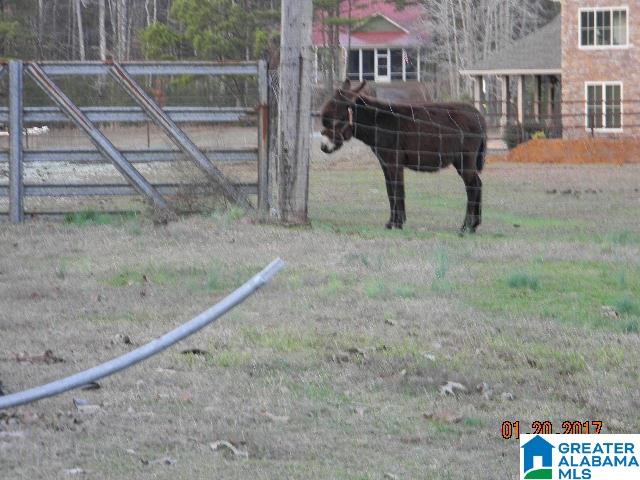 151 Glenn Road Wilsonville, AL 35186 - Photo 22 of 34