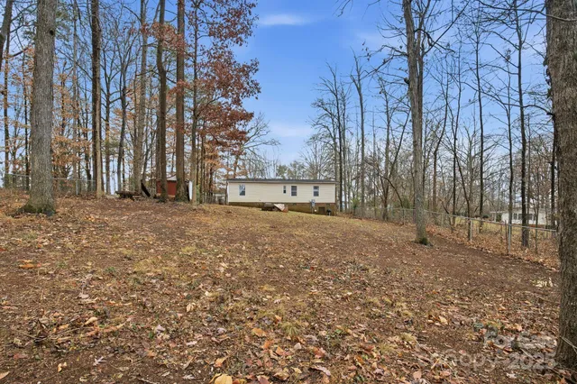 a view of dirt yard with a large tree
