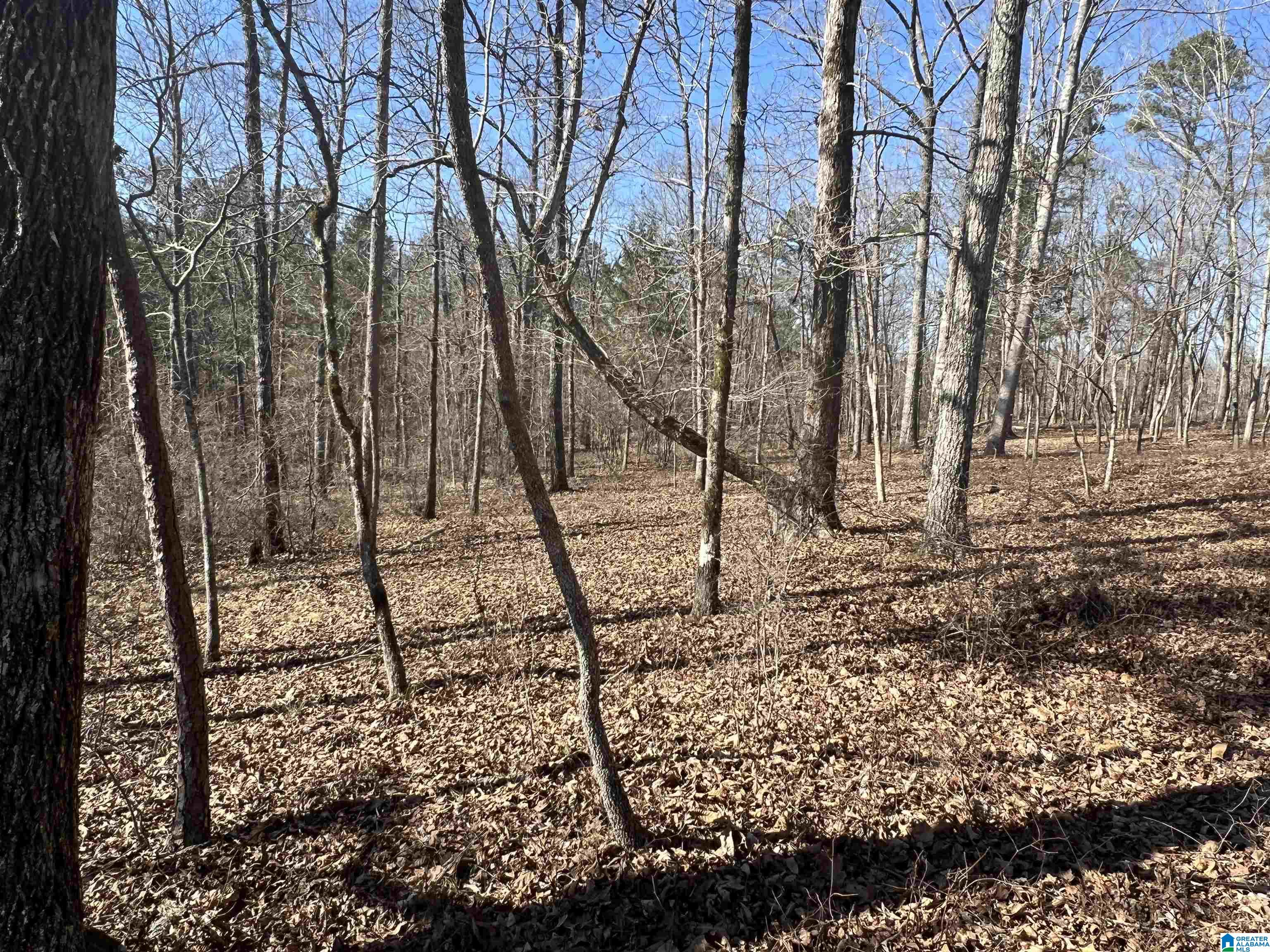 0 County Road 2811, Unit 1 Lineville, AL 36266 - Photo 10 of 13