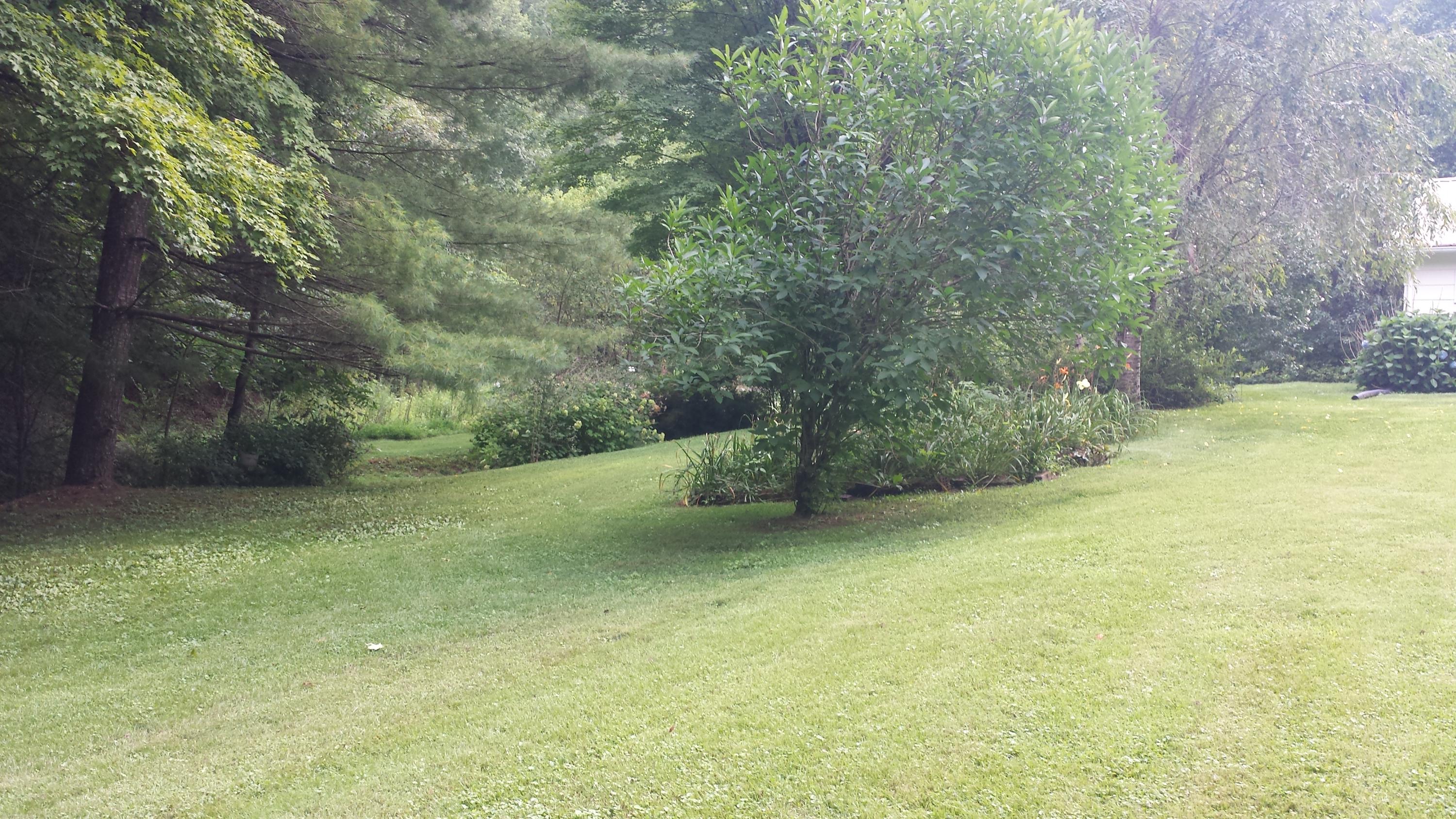 415 Malone Gap Road Maynardville, TN 37807 - Photo 3 of 16 20150728_171912
