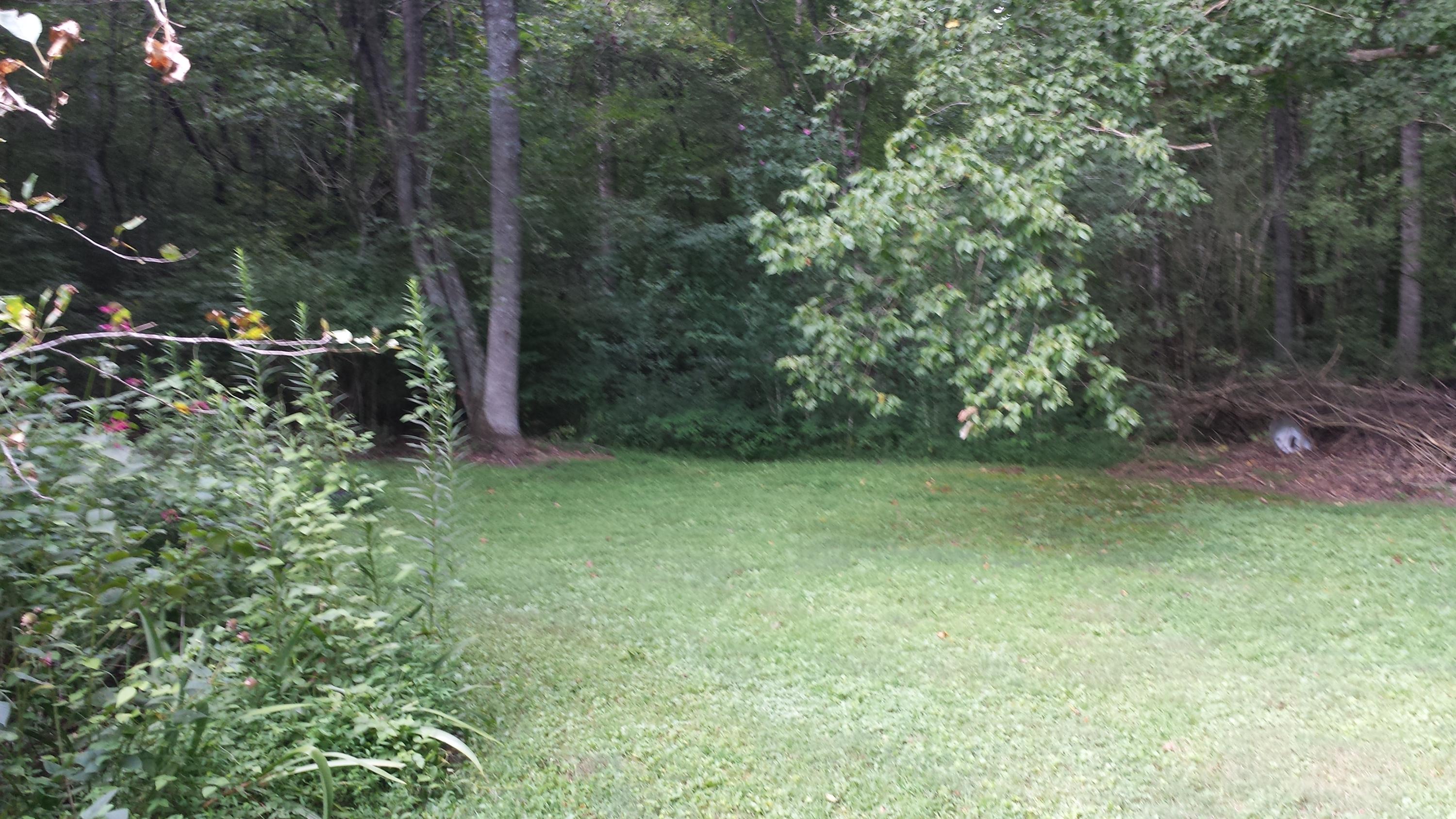 415 Malone Gap Road Maynardville, TN 37807 - Photo 4 of 16 20150728_171928
