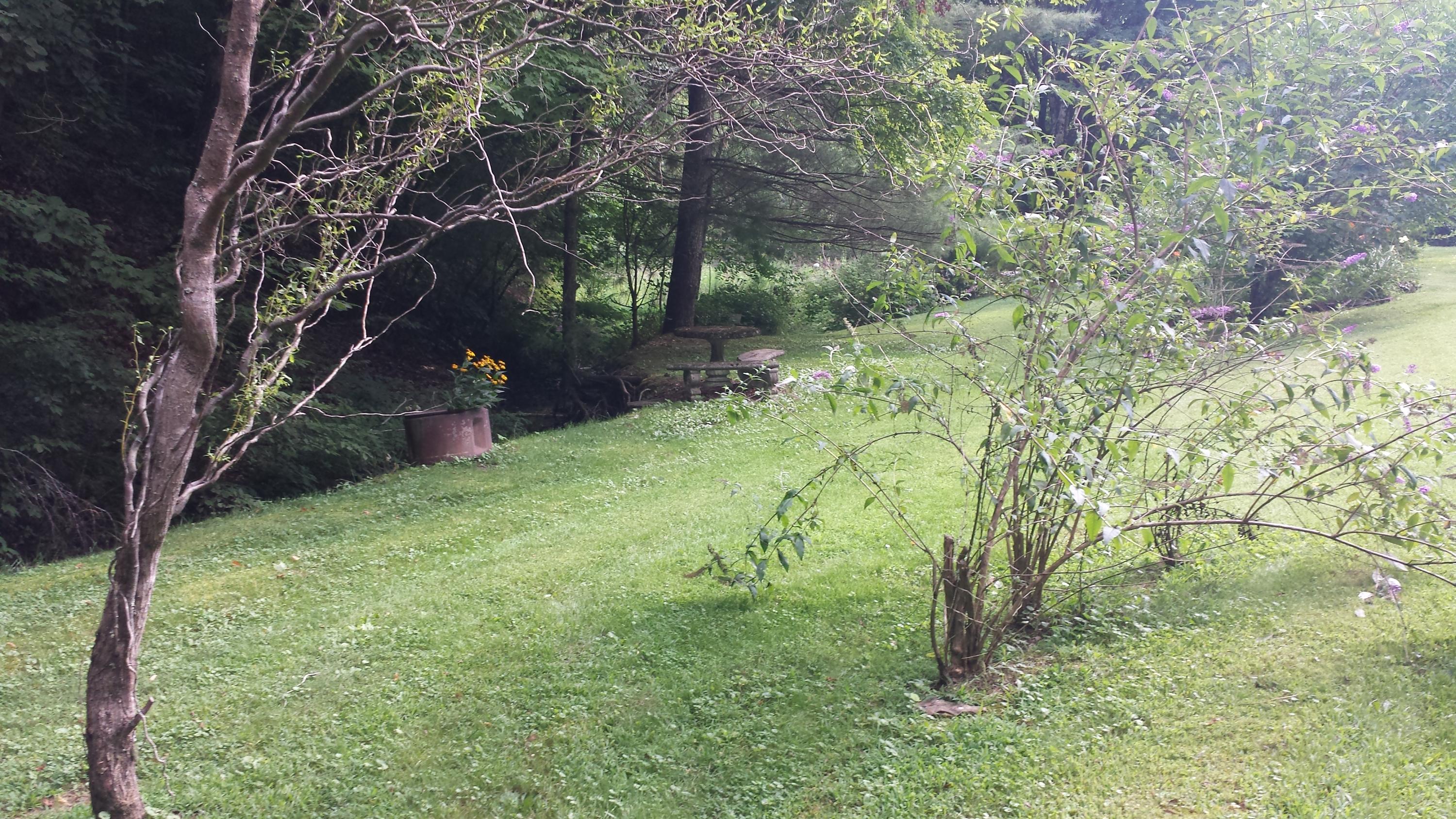 415 Malone Gap Road Maynardville, TN 37807 - Photo 5 of 16 20150728_171933