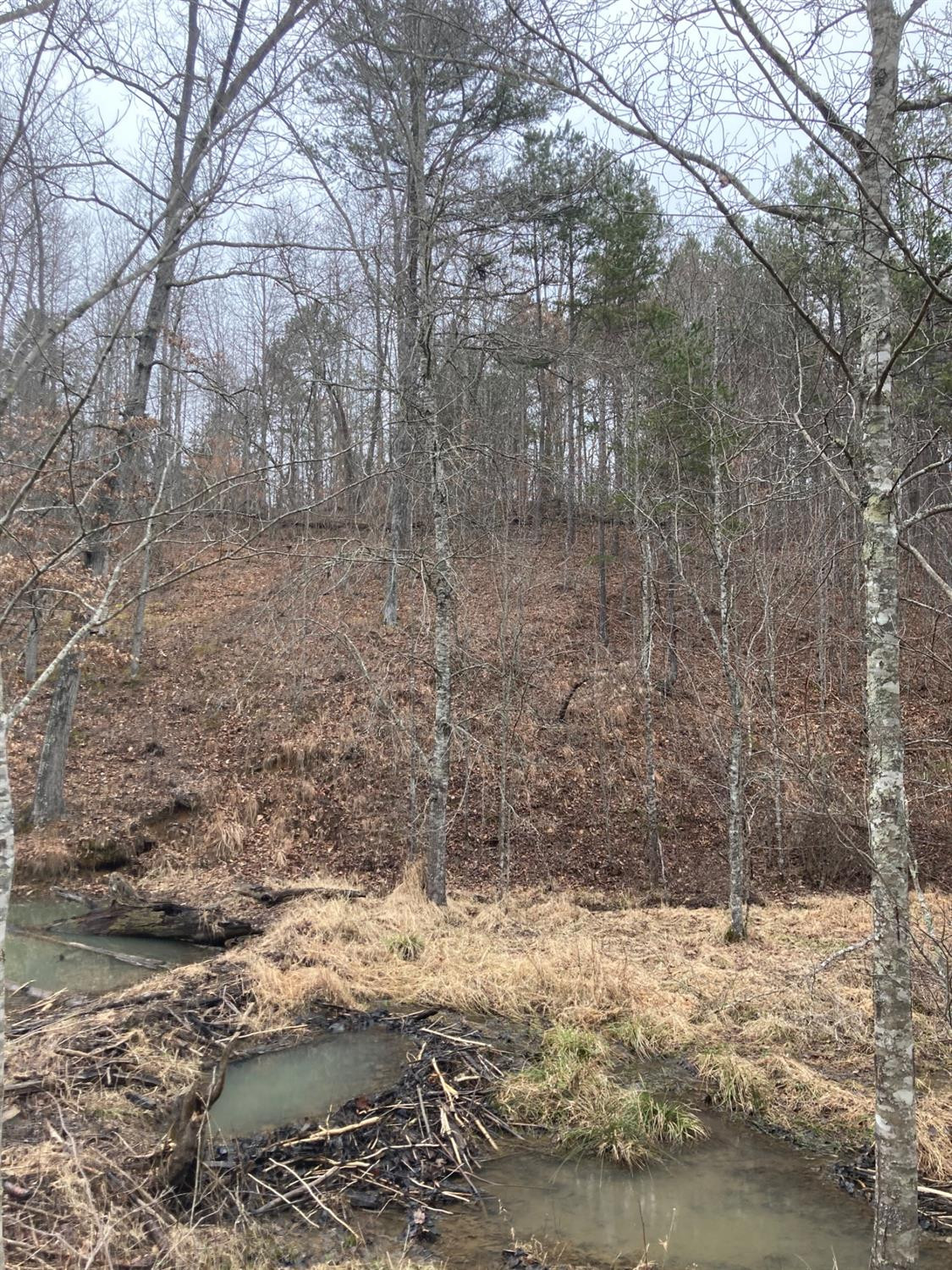 2000 Baker Road London, KY 40741 - Photo 8 of 8 Photo 8