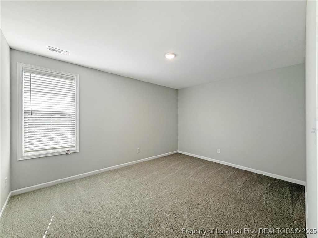 300 Arabia Road Raeford, NC 28376 - Photo 19 of 33 Gallery Image 19