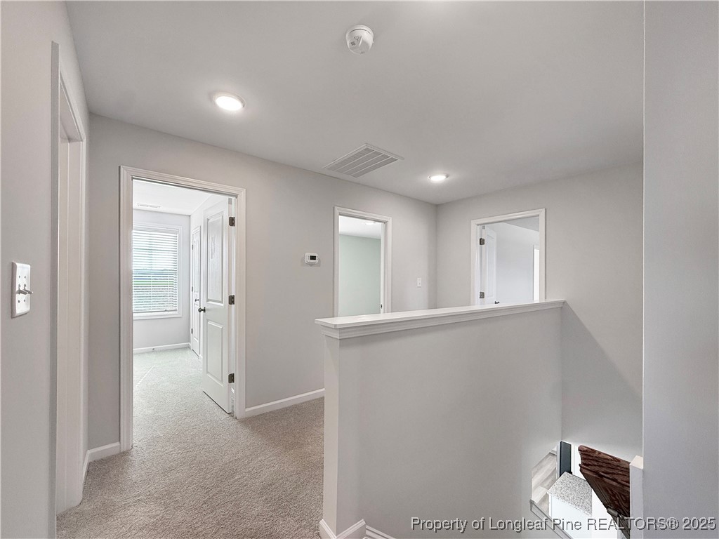 300 Arabia Road Raeford, NC 28376 - Photo 20 of 33 Gallery Image 20