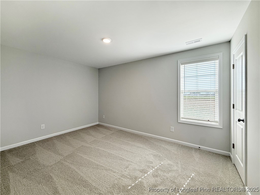 300 Arabia Road Raeford, NC 28376 - Photo 21 of 33 Gallery Image 21