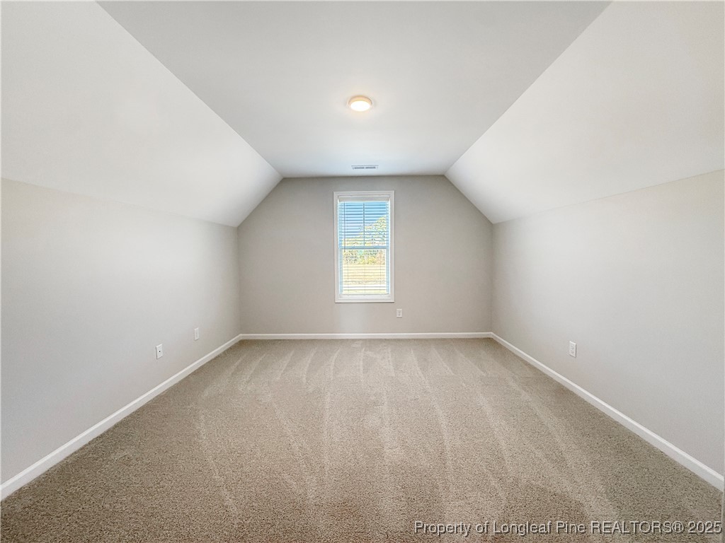 300 Arabia Road Raeford, NC 28376 - Photo 31 of 33 Gallery Image 31