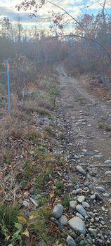 0 Reed's Mill Road Phillips, ME 04966 - Photo 5 of 15 Trails nearby