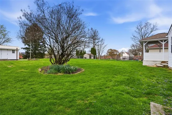 a view of a park with large trees