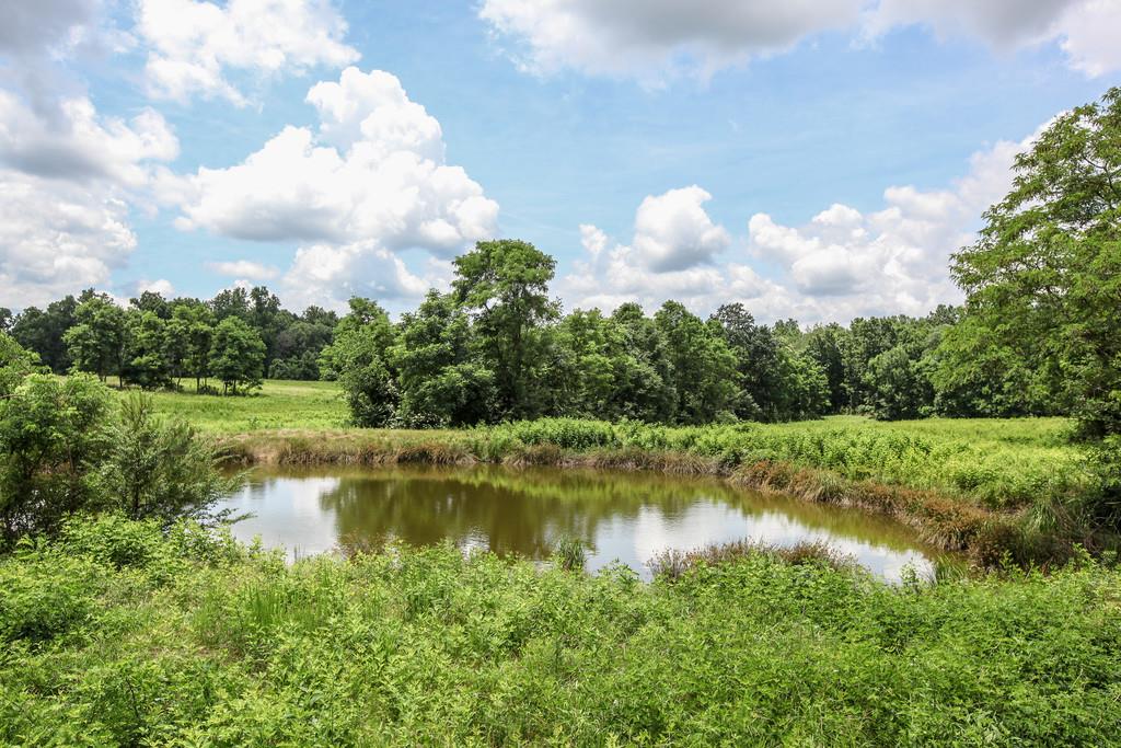 0 Fall River Road Leoma, TN 38468 - Photo 3 of 5 Gallery Image 3
