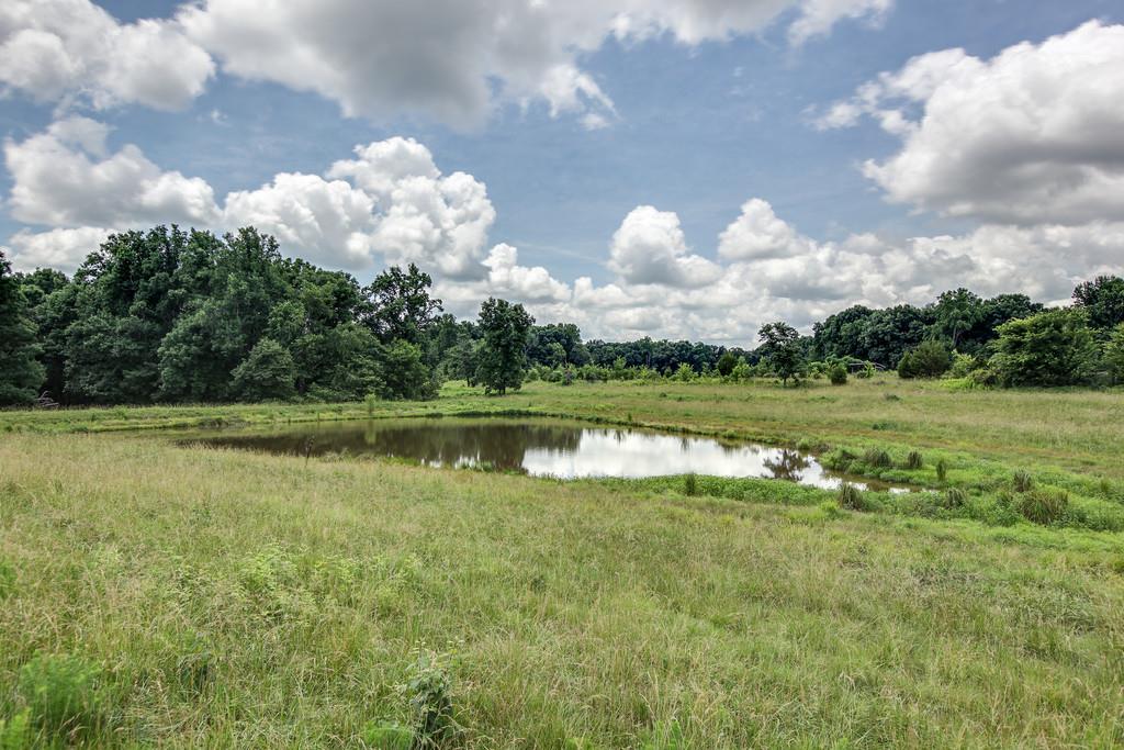 0 Fall River Road Leoma, TN 38468 - Photo 4 of 5 Gallery Image 4