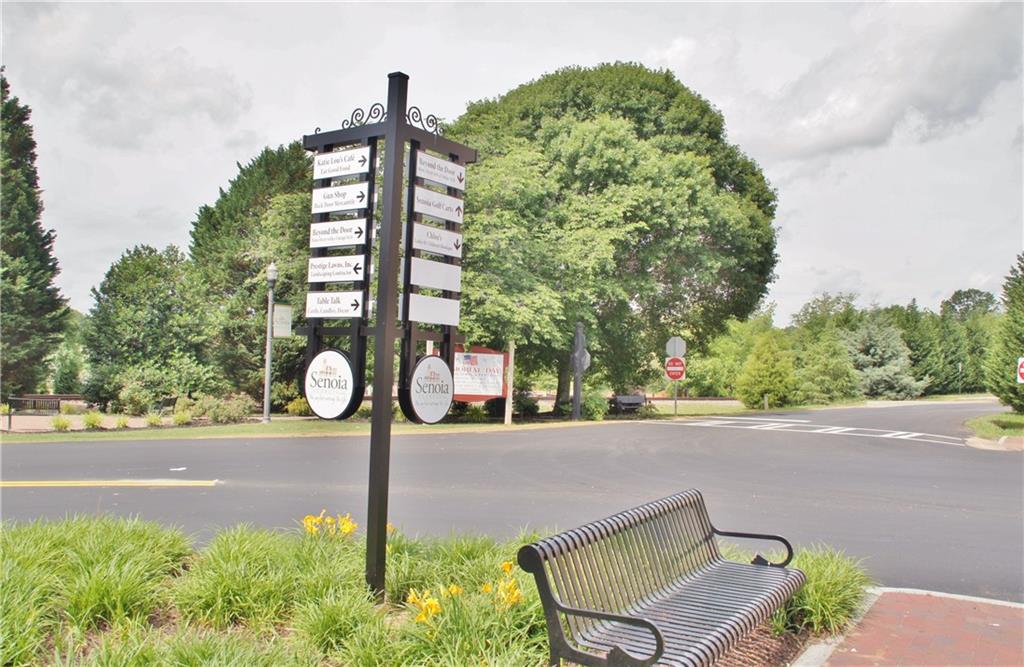 115 Rutland Court Senoia, GA 30276 - Photo 63 of 69 a front view of a house with garden