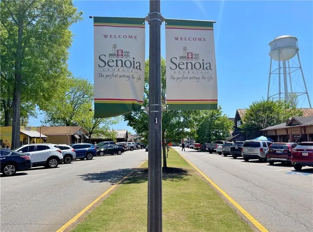 $578,998 | 115 Rutland Court, Senoia, GA 30276