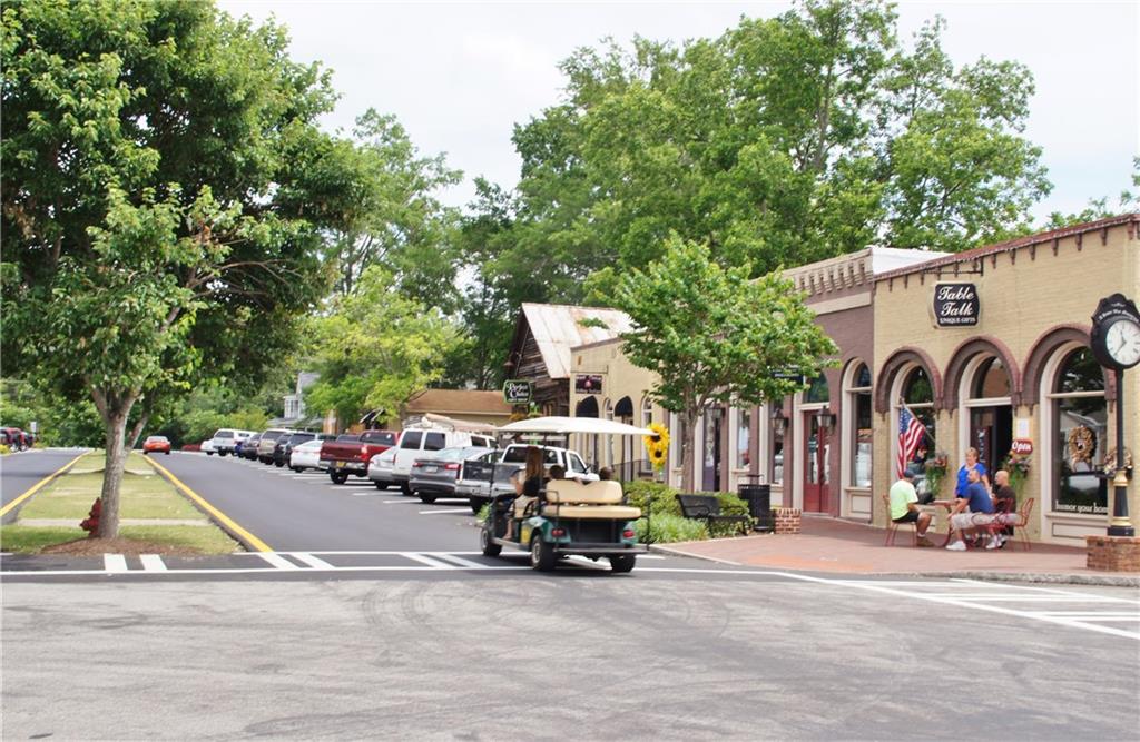 115 Rutland Court Senoia, GA 30276 - Photo 68 of 69