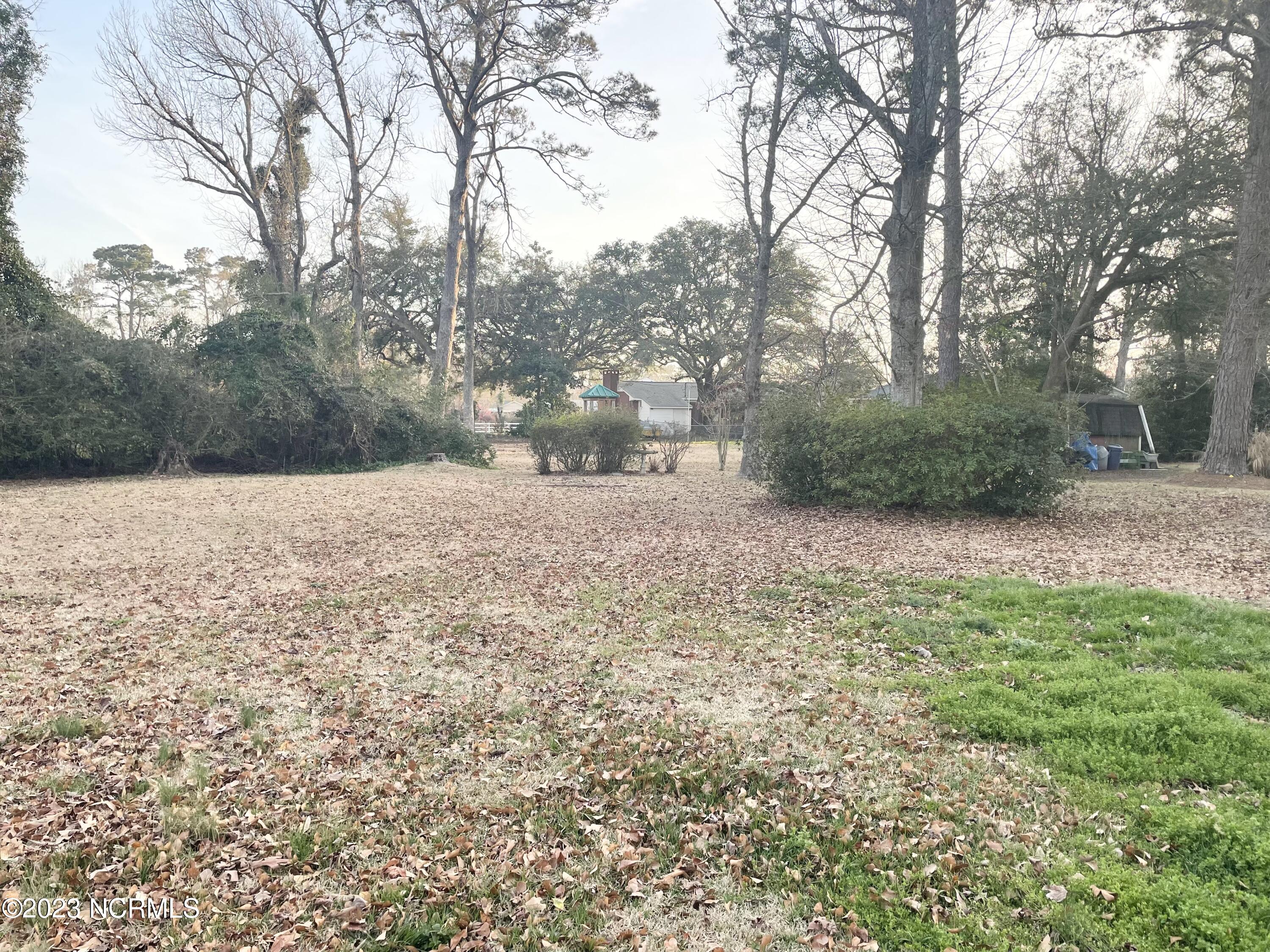 4115 Country Club Road Morehead City, NC 28557 - Photo 2 of 25 Backyard