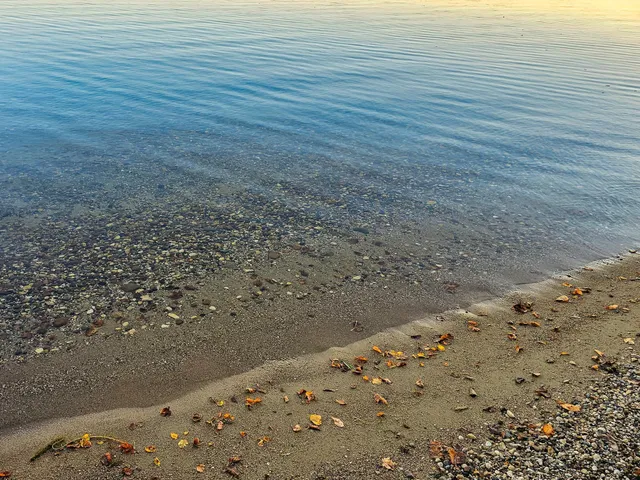 $549,000 | 37791 Mallard Loop, Perham, MN 56573