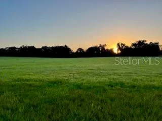 a view of grassy field with mountain view