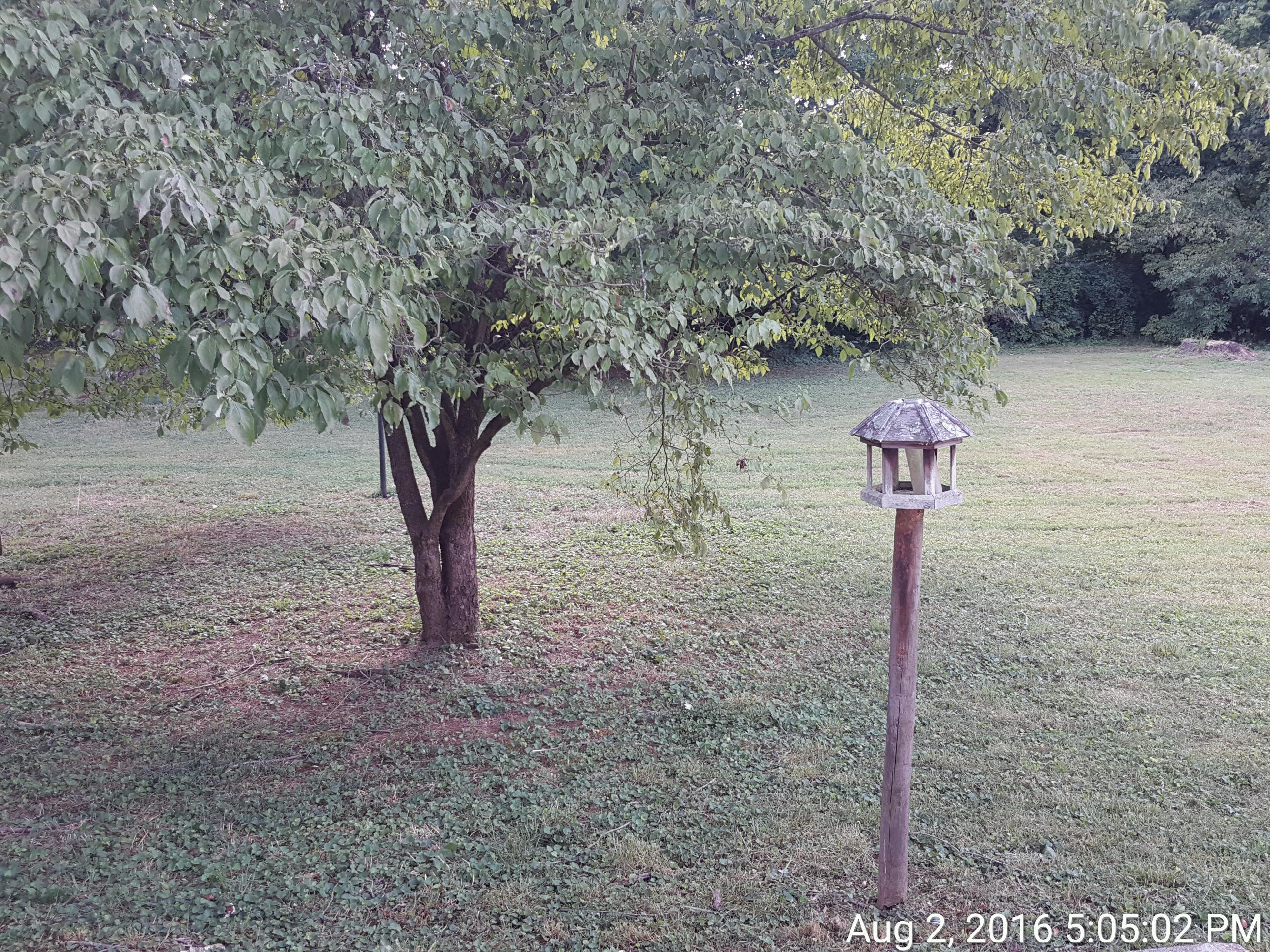 2105 Rambling Road Knoxville, TN 37912 - Photo 3 of 8 TimePhoto_20160802_170502