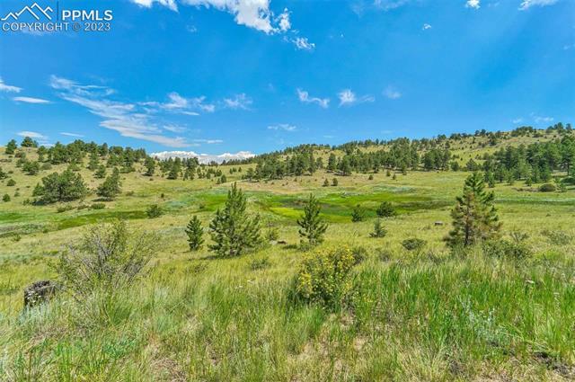 377 Cover Valley Road Guffey, CO 80820 - Photo 24 of 38 Gallery Image 24