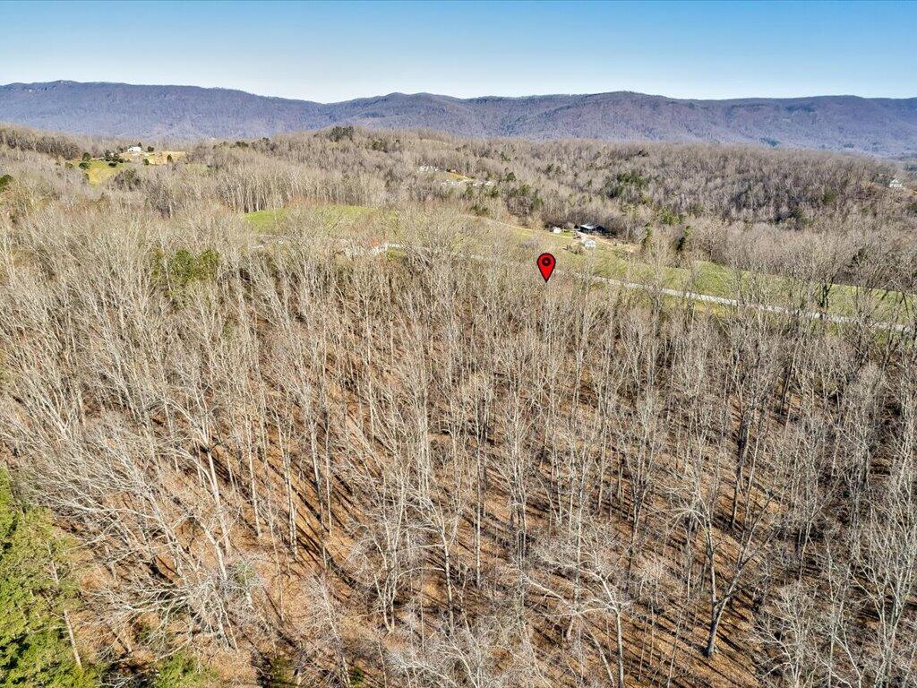 4 Wilson Road, Unit 4 Speedwell, TN 37870 - Photo 15 of 27 Tract 4 Wilson Rd - 15
