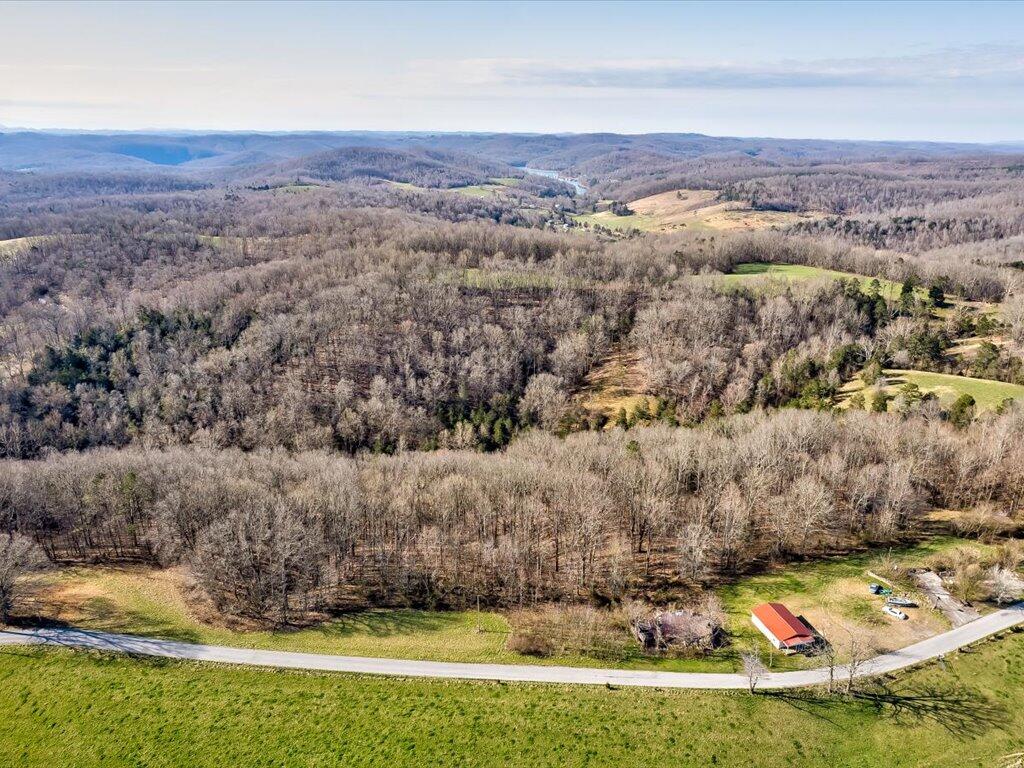 4 Wilson Road, Unit 4 Speedwell, TN 37870 - Photo 17 of 27 Tract 4 Wilson Rd - 17