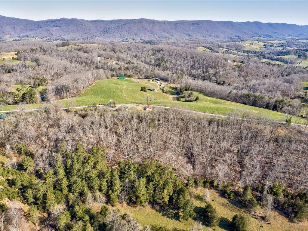 4 Wilson Road, Unit 4 Speedwell, TN 37870 - Photo 20 of 27 Tract 4 Wilson Rd - 20